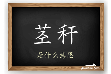 茎秆