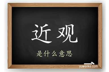近观