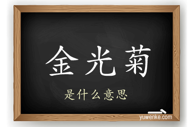 金光菊