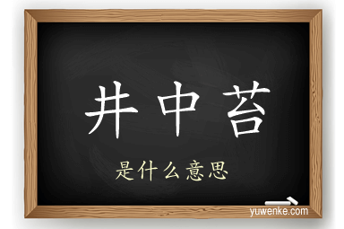 井中苔