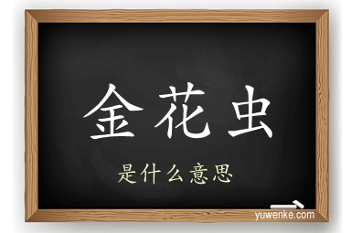 金花虫