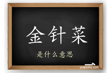 金针菜