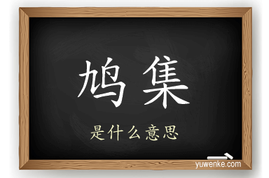 鸠集