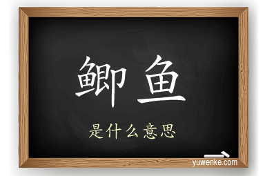 鲫鱼
