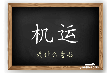 机运