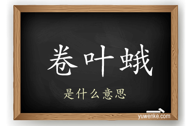 卷叶蛾