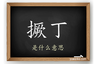撅丁