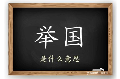 举国