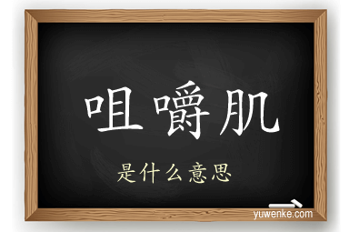 咀嚼肌