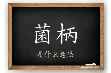 菌柄