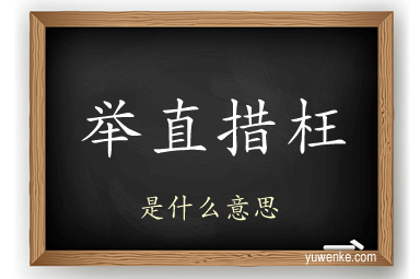 举直措枉