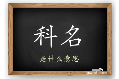 科名