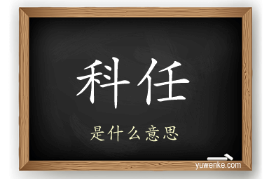 科任