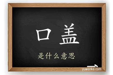 口盖