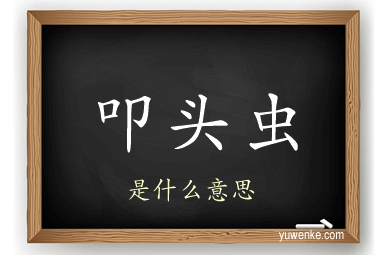 叩头虫