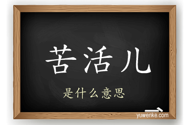 苦活儿