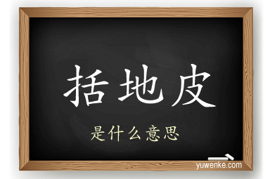 括地皮