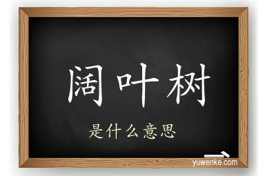 阔叶树