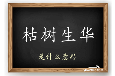 枯树生华