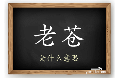 老苍