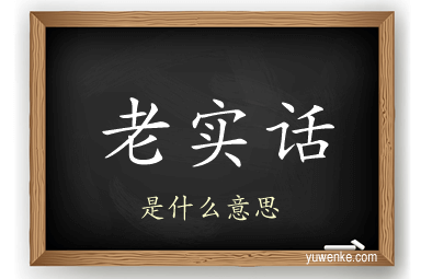 老实话