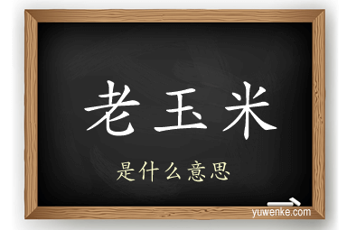 老玉米