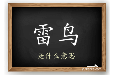 雷鸟