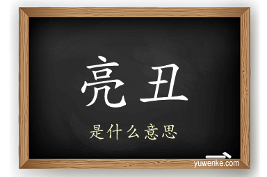 亮丑