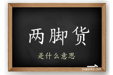 两脚货