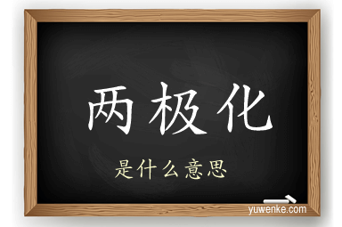 两极化