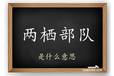 两栖部队