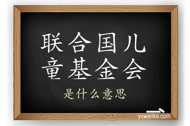 联合国儿童基金会