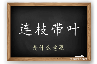 连枝带叶