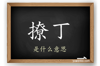 撩丁