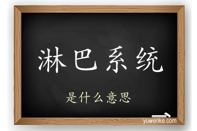 淋巴系统