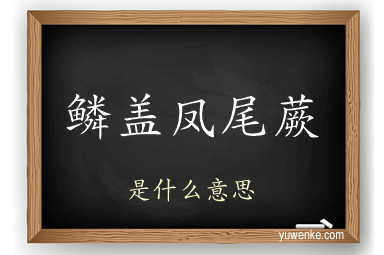 鳞盖凤尾蕨