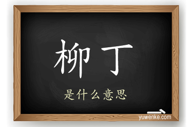 柳丁