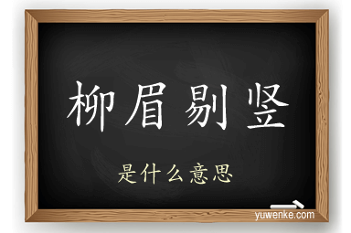 柳眉剔竖