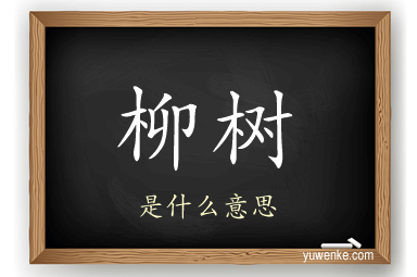 柳树