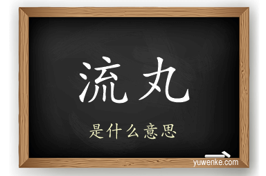 流丸