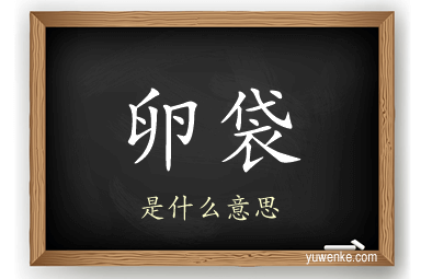 卵袋