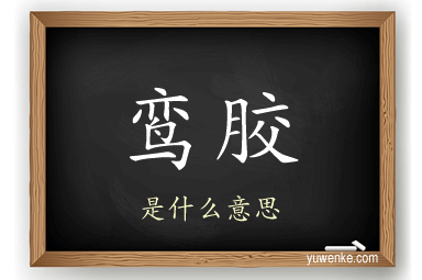 鸾胶