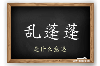 乱蓬蓬