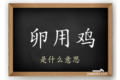 卵用鸡