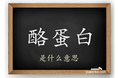 酪蛋白