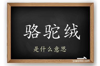 骆驼绒