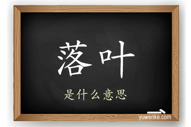 落叶