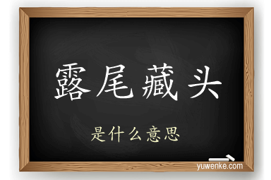 露尾藏头