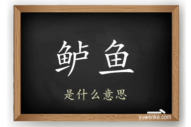 鲈鱼