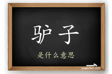 驴子